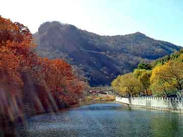 新澳天天开奖资料大全旅游团，石蜡